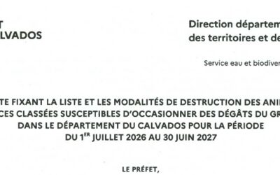 CHASSE