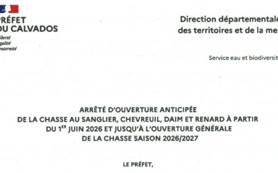 CHASSE